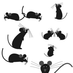 mice