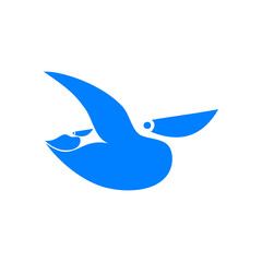 blue bird flying