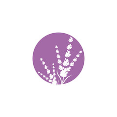 Lavender Logo Template vector symbol