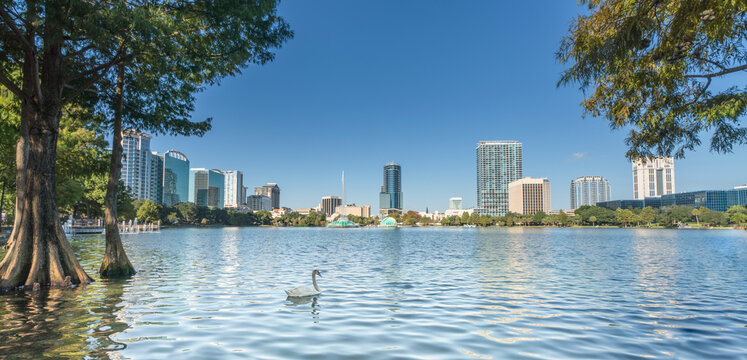 Orlando City Skyline Florida