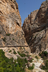 the king's path in navarra