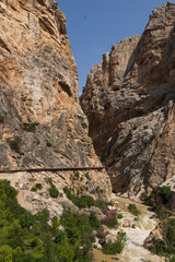 the king's path in navarra