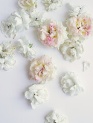 Obraz na płótnie Canvas Fresh Flower photo flat lay, fresh roses background, fashion image