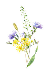 Naklejka premium Watercolor bouquet of herbs and wild blue and yellow flowers