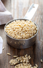 Organic barley noodle made from whole wheat semolina in a metal measuring bowl.
