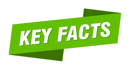 key facts banner template. ribbon label sign. sticker