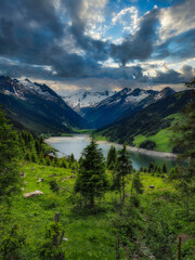Fototapeta na wymiar Idyllischer Bergsee in den Tiroler Alpen 