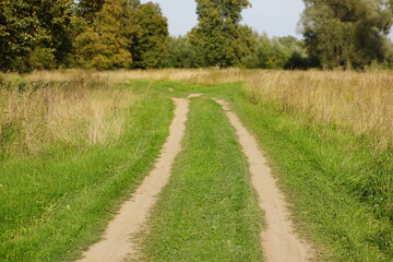 dirt road in the field