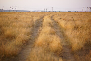 path in the field