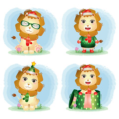 Fototapeta premium cute lion christmas characters collection with a hat, jacket, scarf and gift box