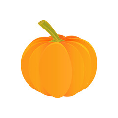 Flat vector illustration of orange pumpkin.