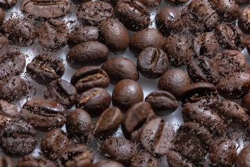 Fototapeta premium coffee beans on a white background