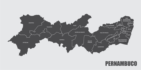 Fototapeta premium The Pernambuco State map divided in regions with labels, Brazil