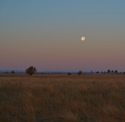 Autumn time. Dawn over the river in a misty, brooding haze. Beautiful view of the forest and river, covered with fog in the early morning. The sun's rays of light. September.