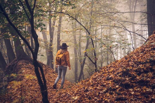 Hiker with backpack walking in fog at forest. Hiking in autumn woodland