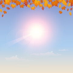 falling autumn leaves on sunny sky background vector illustration EPS10
