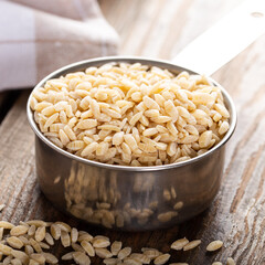 Organic barley noodle made from whole wheat semolina in a metal measuring bowl.