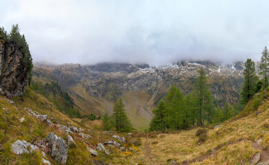 View into a valley with Larch trees (Larix decidua) near the Gralati lake in the Stubai Alps. Autumn mood with fog in the background.
