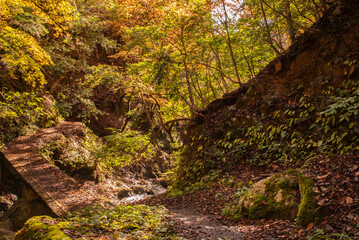 兵庫県・天滝渓谷の紅葉風景