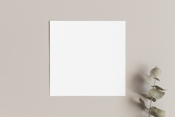 Square invitation card mockup with a eucalyptus branch.
