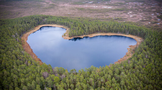 Aerial view to the natural heart-shaped forest lake on Parika nature reserve, Viljandi, Estonia