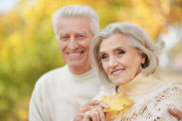 Beautiful senior couple embracing in the park