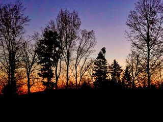 Sonnenaufgang vor Waldsaum