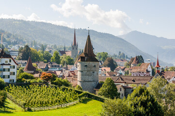 Fototapeta premium Stadt Zug, Stadt, Zug, Kapuzinerturm, Stadtmauer, St. Michael, Kirche, Guggi, Rosengarten, Weinberg, Spazierweg, Altstadt, Zugerberg, Berge, Rigi, Sommer, Zugersee, Zentralschweiz, Schweiz
