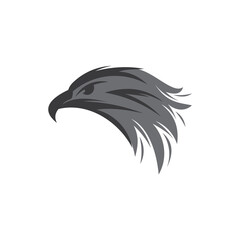 Eagle Head Logo Template Design Vector
