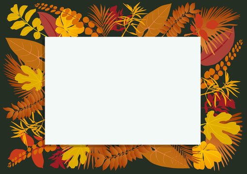 Cartouche vierge de couleur blanche, entour&eacute; de diff&eacute;rents types de feuilles, pour servir d&rsquo;arri&egrave;re-plan &agrave; une pr&eacute;sentation sur le th&egrave;me de la nature en automne.