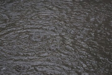 black leather texture