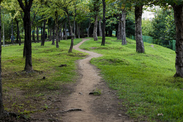 path in the park