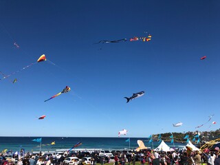 Kite festival Bondi beach australia