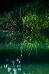 Le Tour du Lac de l'Escale itinerary, Château-Arnoux, Val de Durance, Alpes Haute Provence, France, Europe