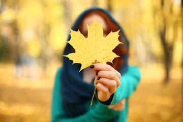 Women holding a leaf. girl holding a yellow maple leaf in autumn. Autumn leaves. selective focus