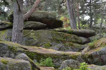 Les rochers tremblants du Grand Hohnack, un site mystique