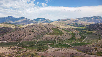 Aerial view on beautiful vineyards in the scenic valleys with views of the mountains. Crimea. 