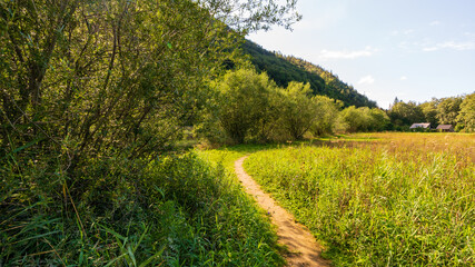Seerundweg am Hintersee in Salzburg