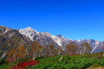 中部山岳国立公園、八方尾根より北アルプス白馬連峰を望む。長野、日本。10月上旬。