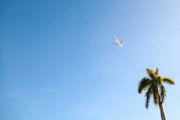 aircraft in blue sky with palm tree and copy space 