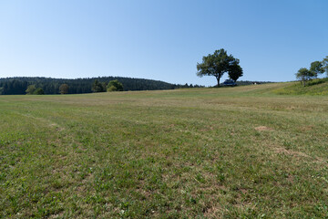 Donautal Landschaft, Wiese mit Felsen