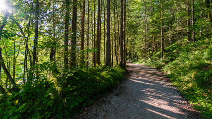 Seerundweg am Hintersee in Salzburg