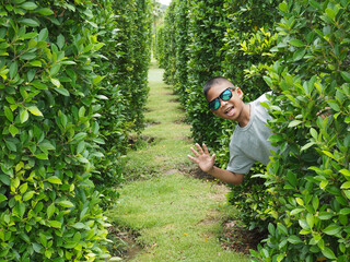 Portrait of a boy standing in a green bush.