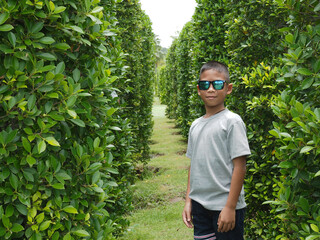 Portrait of a boy standing in a green bush.