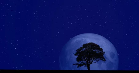 Stof per meter Volle maan en bomen Eenzame dode boom met superblauwe maan - &quot Elements of this Image Furnished by NASA&quot 
