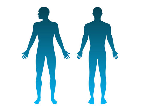Male body shape in gradation mode