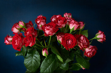 Bouquet of natural red roses on a dark blue background, closeup