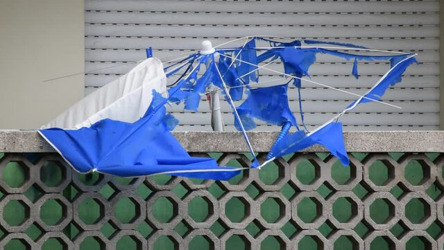 Ombrellone ft0208_0011 Sombrilla de playa Beach umbrella	