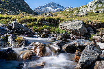 in der Schweiz großer sankt Bernhard im Sommer