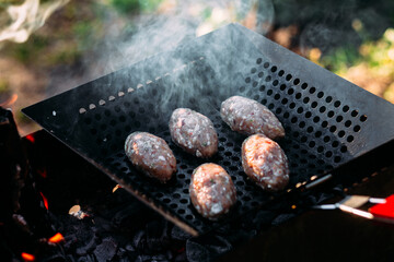 grilled meat on the grill